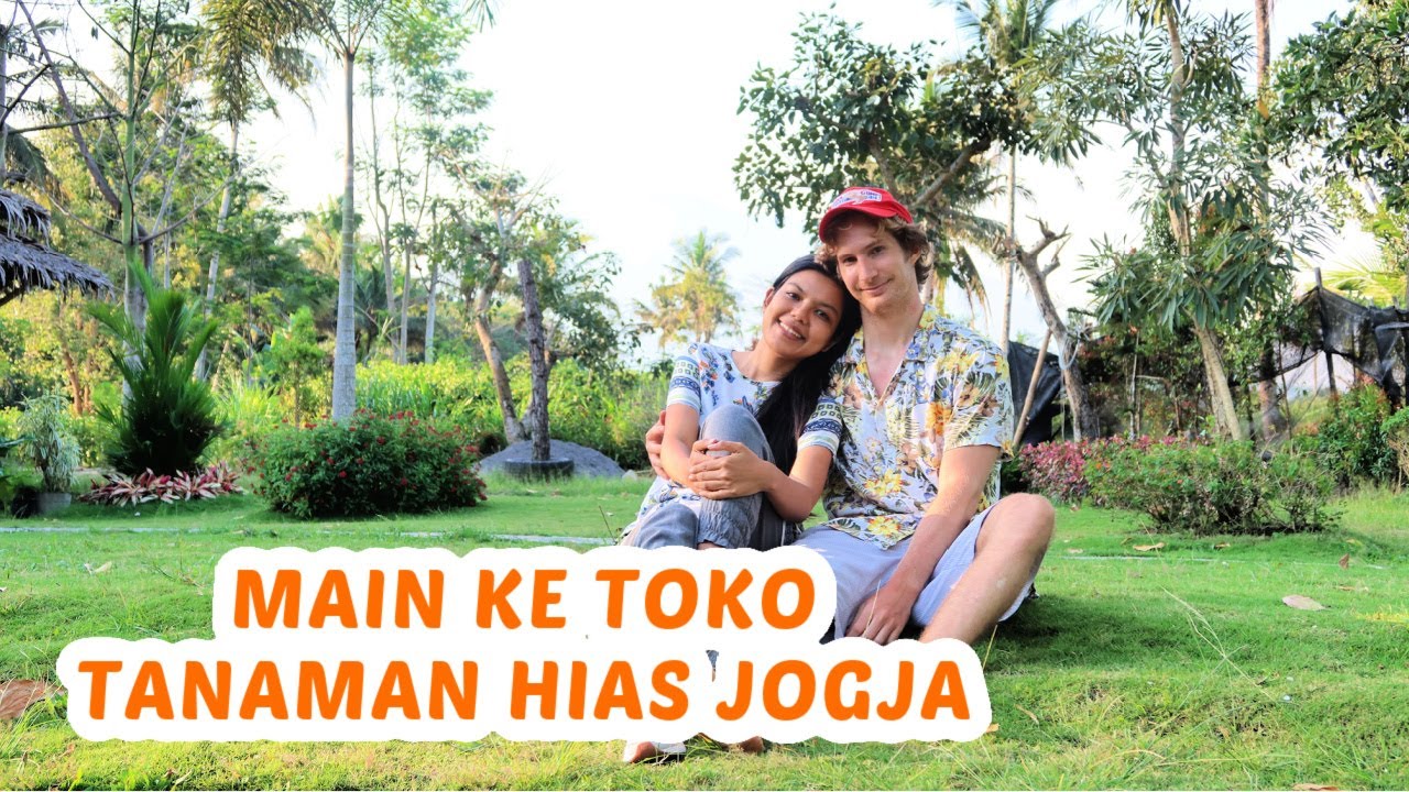 TOKO TANAMAN HIAS DI JOGJA | MattHera