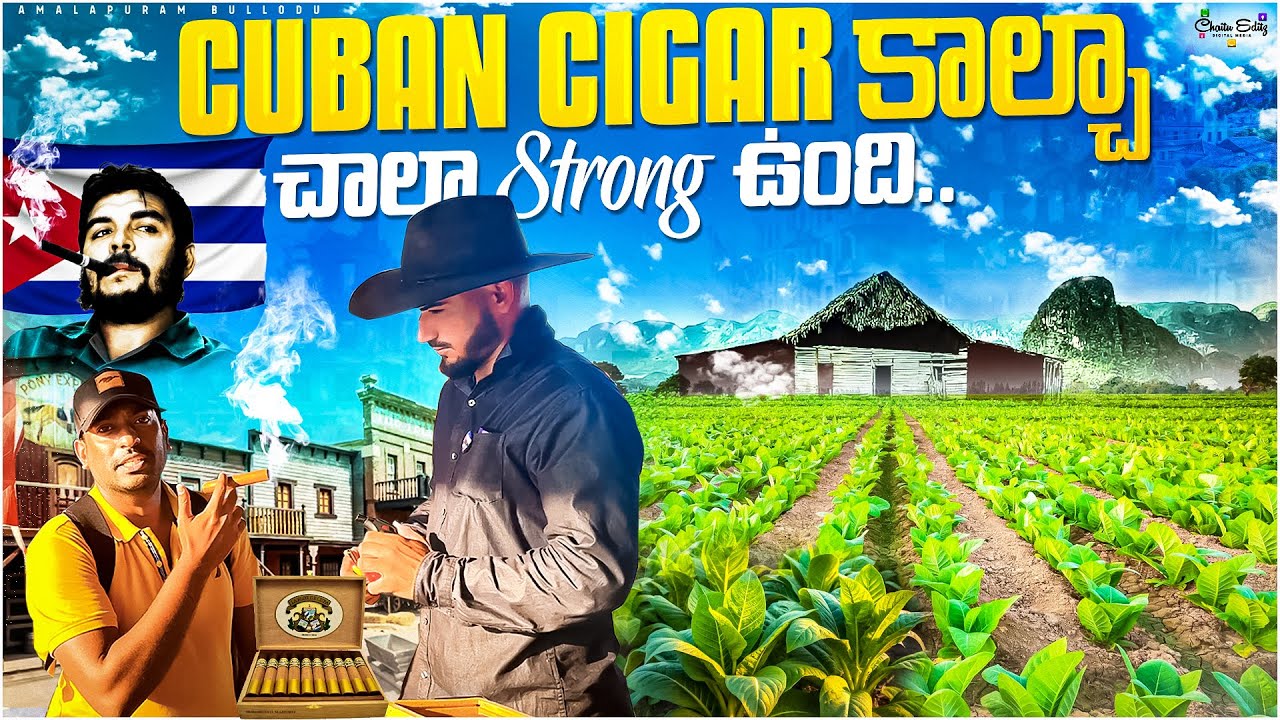Cuba — Havana Streets, Viñales Valley Horse Ride & Tobacco Farm Tour
