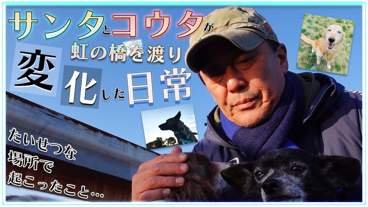 思い出の場所で起きたこと…。～サンタとコウタが虹の橋を渡り変化した日常～