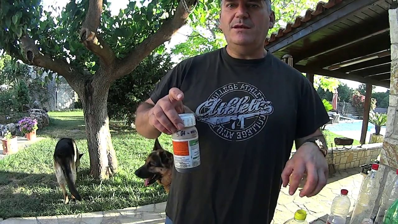 Παγιδες για εντομα-Incects Trap-PLANTTECH