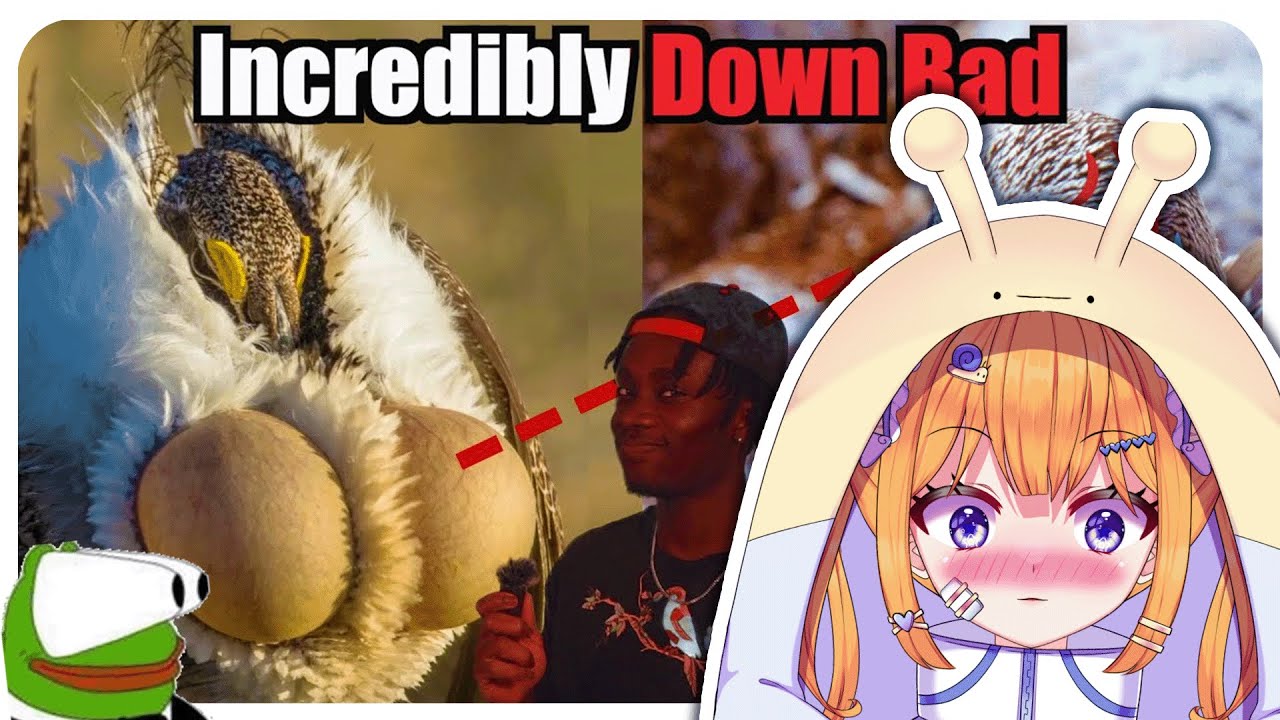 Birds with BIG 