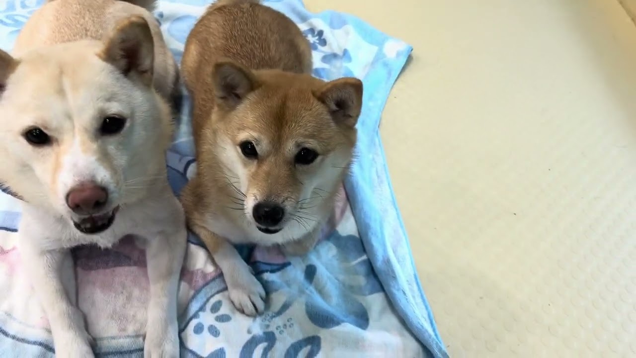 2026.1.17トレーニングの様子