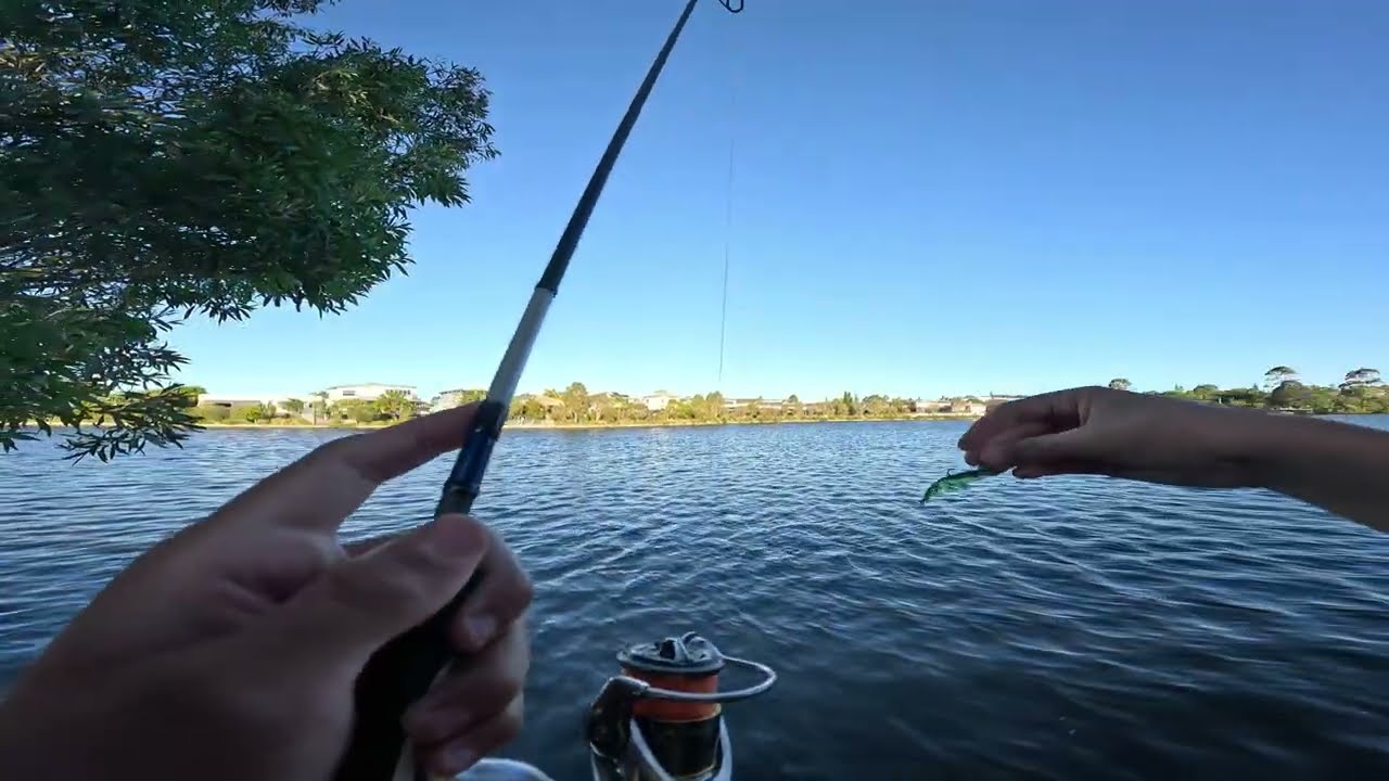 Flicking Plastics For Big Flathead