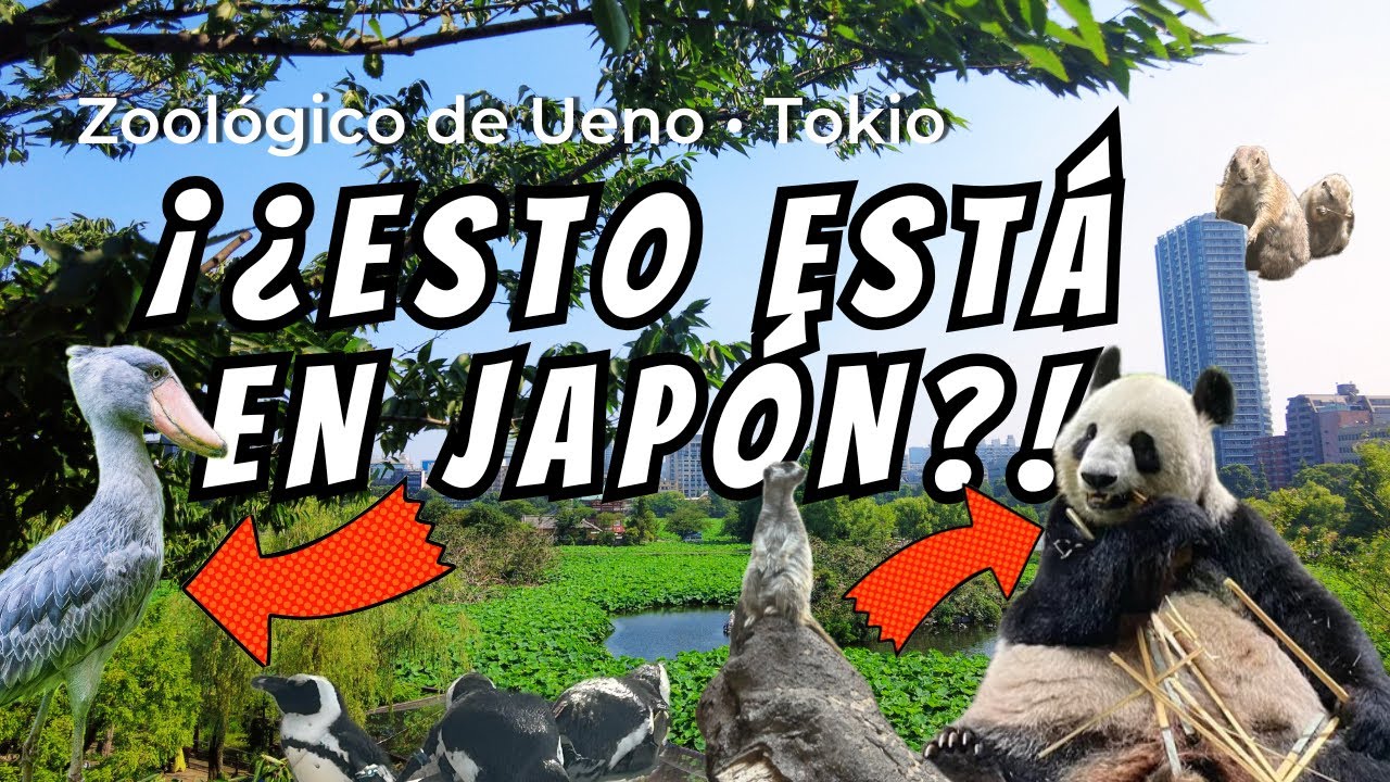 ¡No sabía que esto estaba en Japón! 🐼🦤 | Mi visita al zoológico de Ueno en Tokio