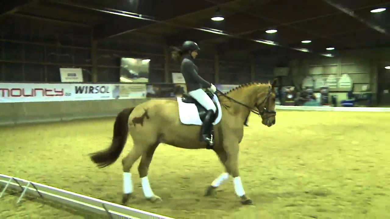 Klaus Balkenhol - Alte Meister - in Stuttgart, Leonberg - Teil 3c