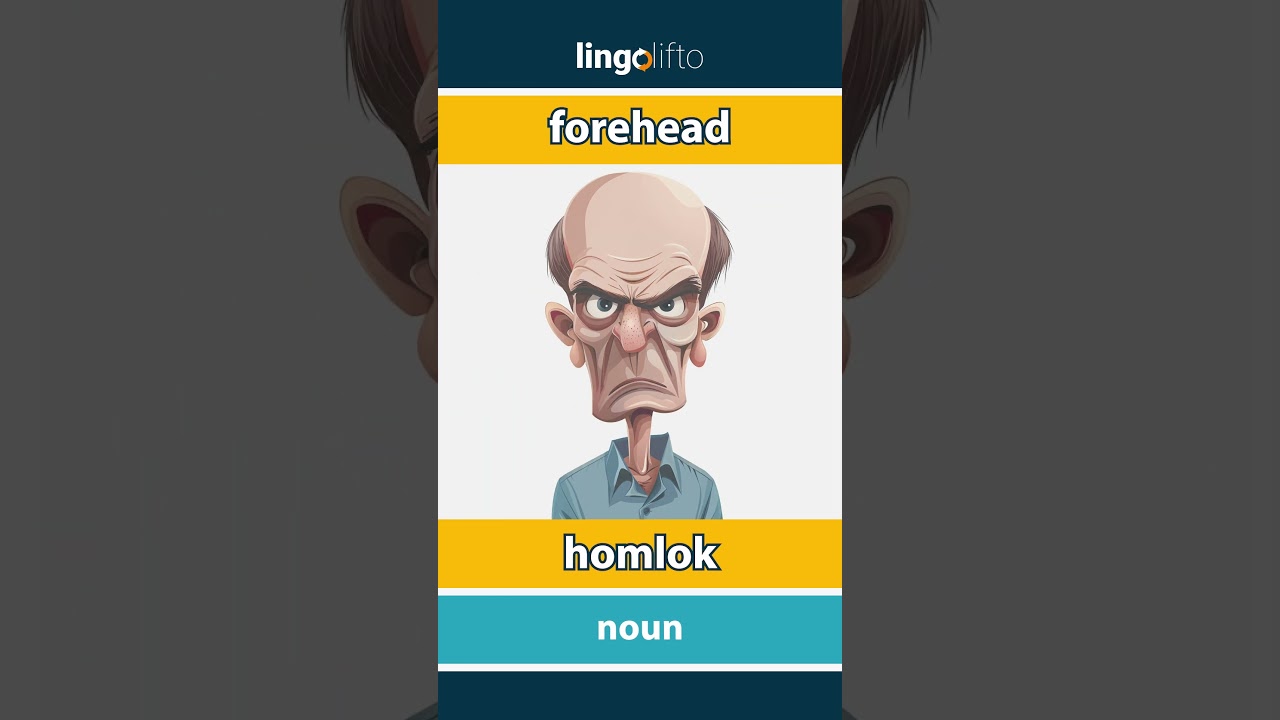 🇬🇧🇭🇺 forehead - homlok : vocabulary builder : learn English : tanuljunk angolul