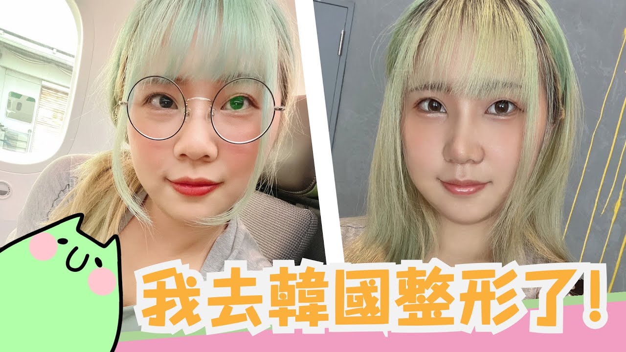 【Haz】一個人飛韓國整形！