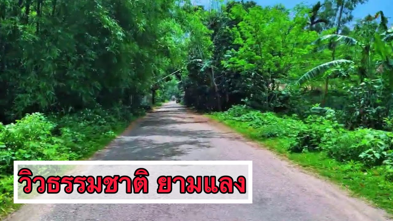 হাত বান্ধিবি পা বান্ধিবি মন বান্ধিবি কি দিয়া hat bandibi pa bandibi Bangla sad video ওরে অবুঝ মন।