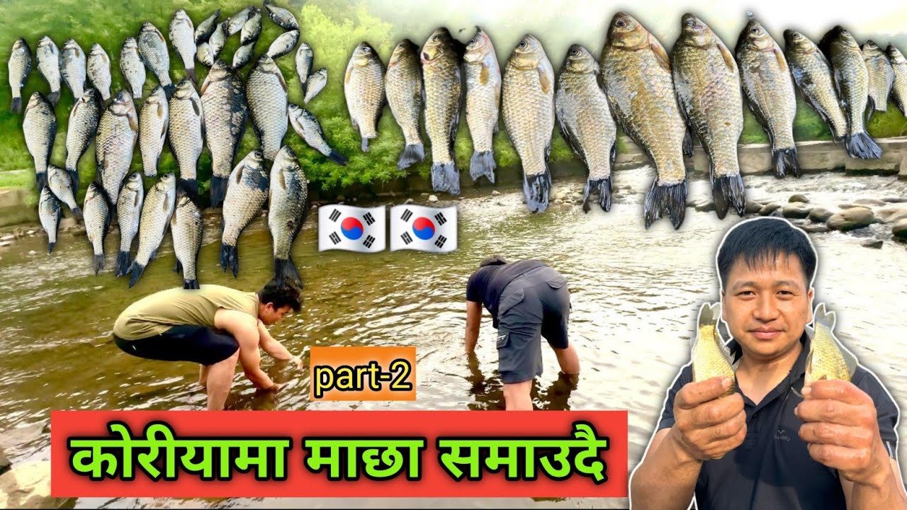 Fishing in Korea🇰🇷🇰🇷part-2 कोरीयामा माछा समाउदै