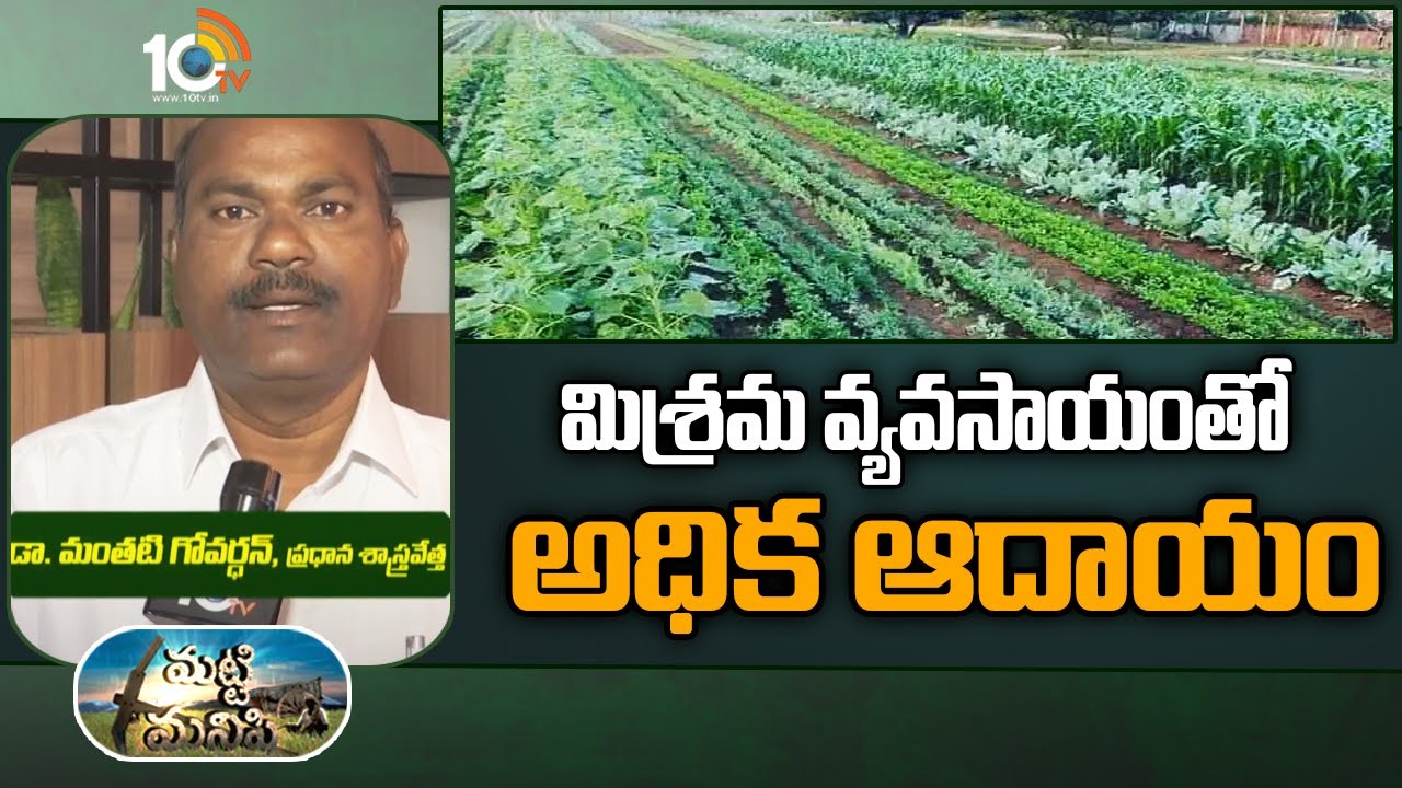 మిశ్ర&zwnj;మ వ్య&zwnj;వ&zwnj;సాయంతో అధిక ఆదాయం: Advantages of Mixed Farming | Matti Manishi | 10TV News