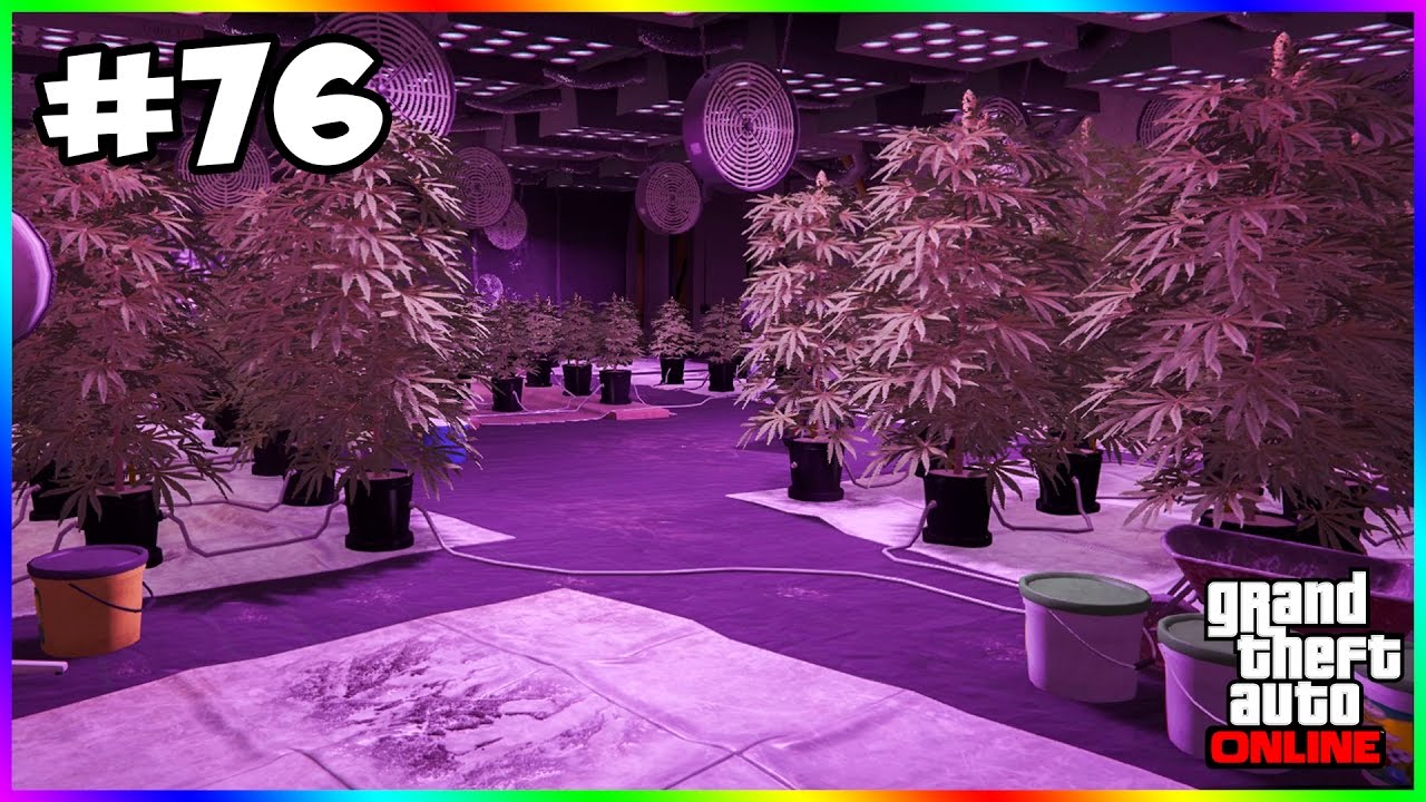 GTA Online #76 | Meth, cocaină şi bani falşi