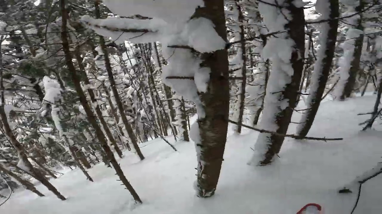 Presidents' Week Laps - Madonna Liftline to Freefall Woods - Smugglers Notch (2026)