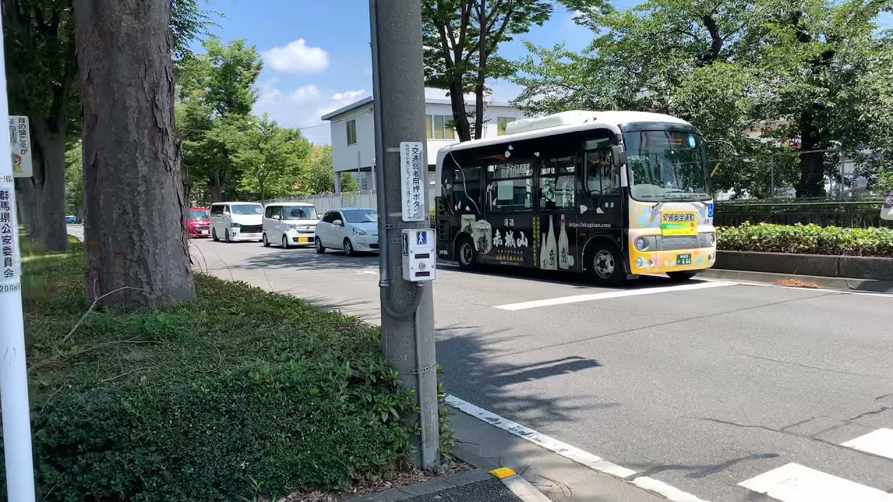 前橋商業高校からけやきウォークまで散歩　群馬県前橋市　take a walk in Maebashi city
