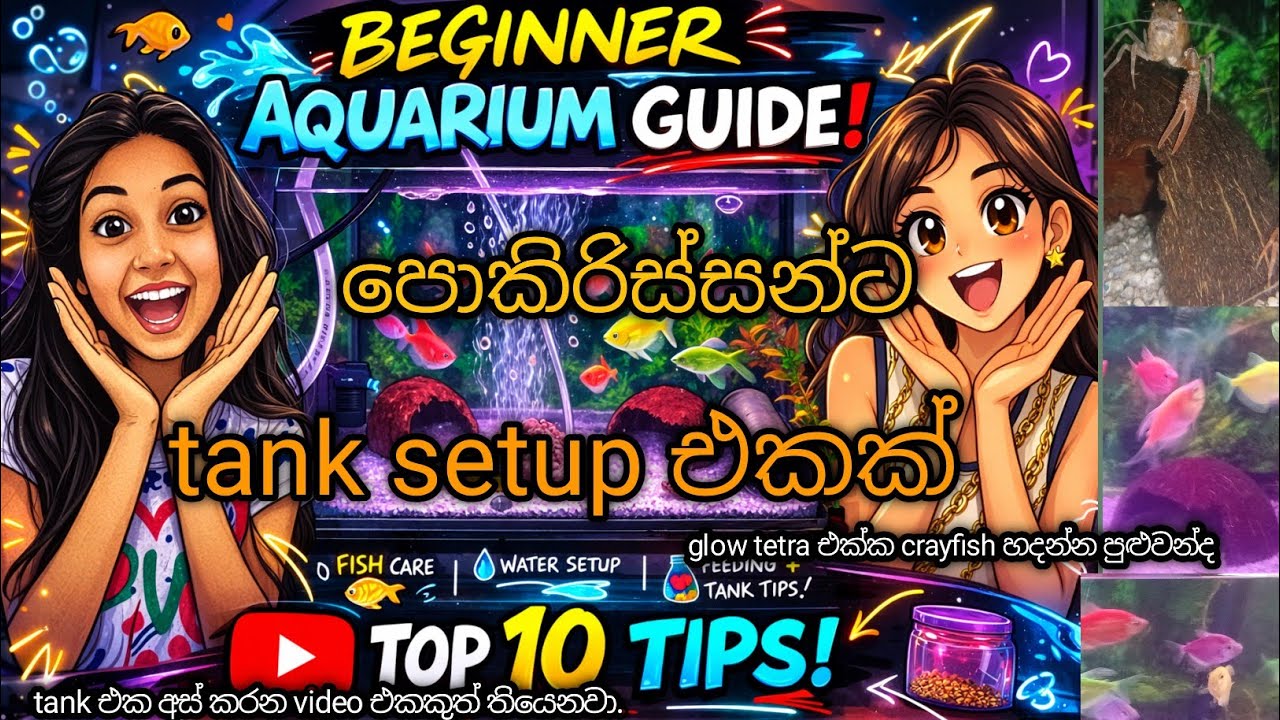 පොකිරිස්සන්ට වෙනස් රාජධානියක්||crayfish tank setup sinhala
