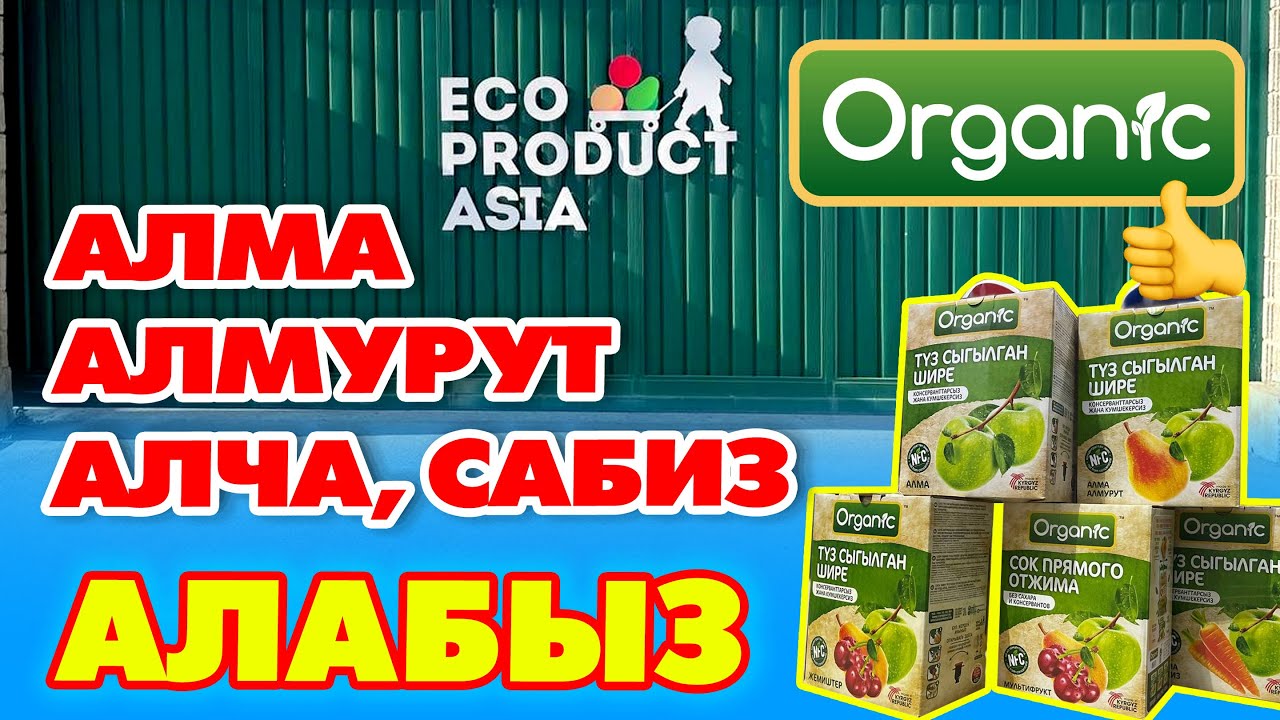 ECO PRODUCT ASIA заводу  чоң кѳлѳмдѳ 2-3-сорттогу АЛМА сатып АЛАТ ~ Алмурут, Алча, Сабиз да алат