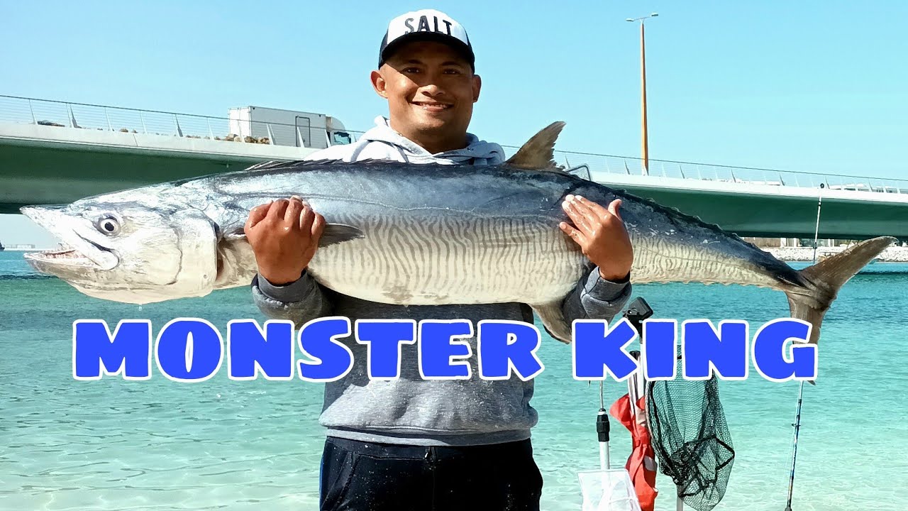 One of the heaviest King Fish landed in Daria, Dubai.