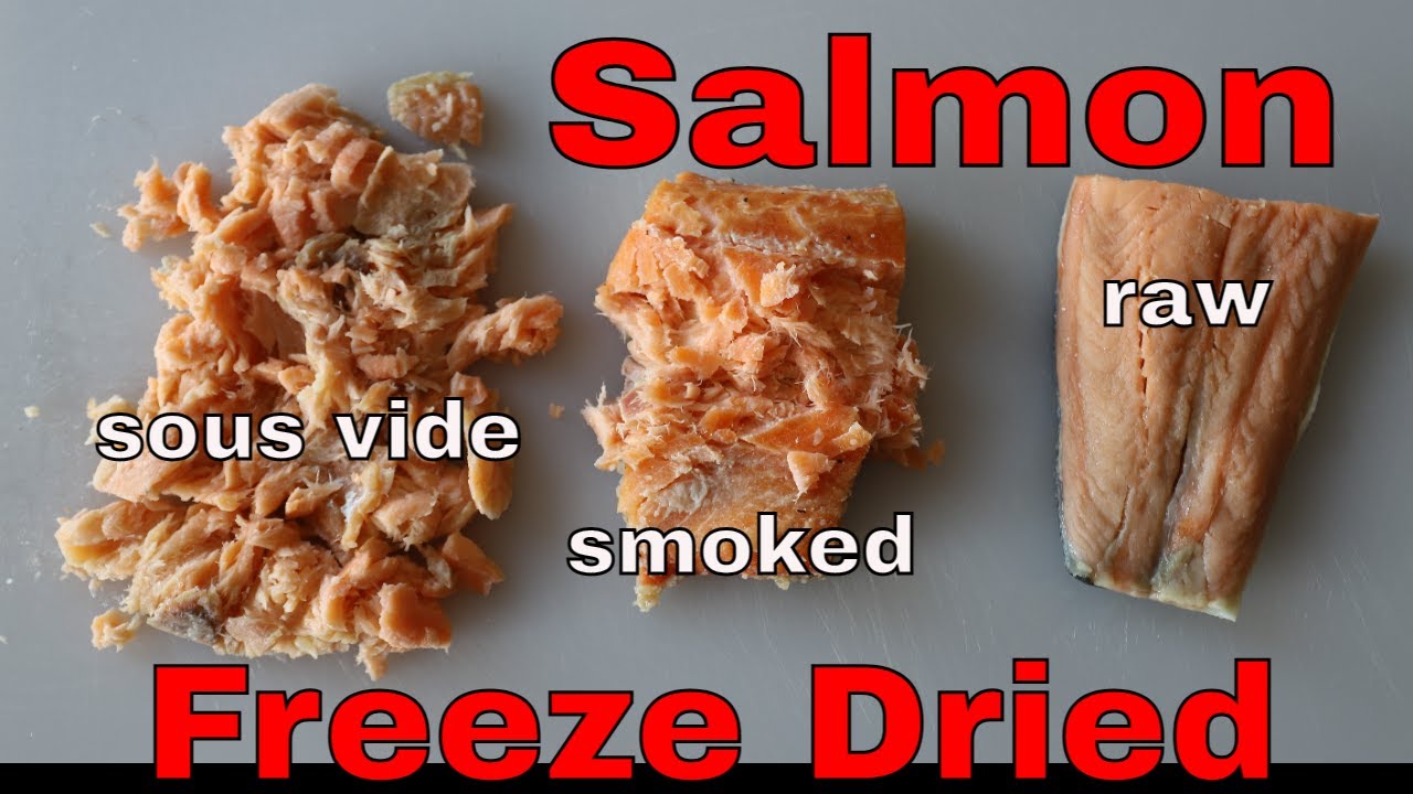 Freeze Dried Salmon🐟  Cooked 4 Different Ways & Rehydration! #freezedriedfish #freezedriedsalmon