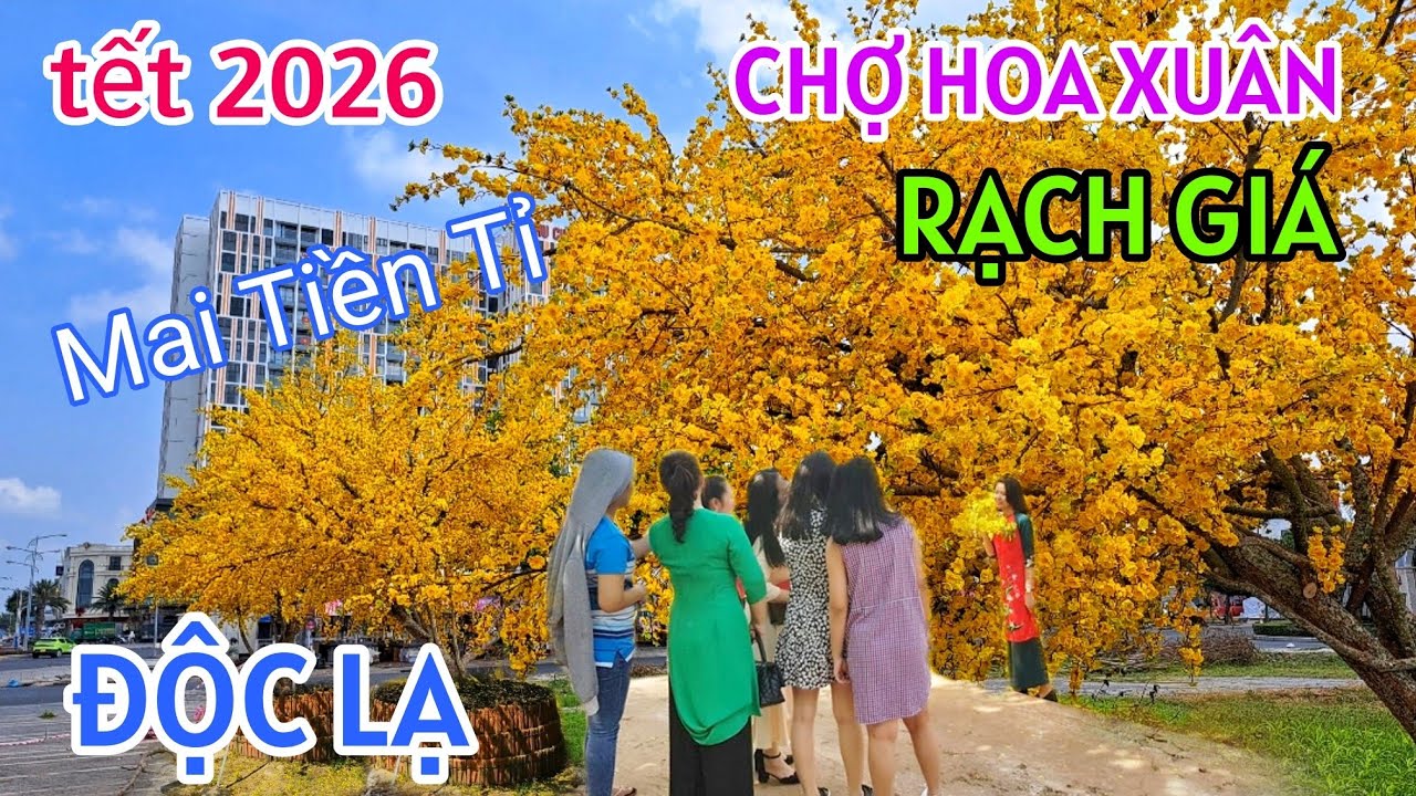 QUÁ KHỦNG KHIẾP ĐƯỜNG HOA TẾT RẠCH GIÁ 2026 XUẤT HIỆN RẤT NHIỀU CÂY MAI VÀNG ĐỘC LẠ CHƯA TỪNG CÓ 
