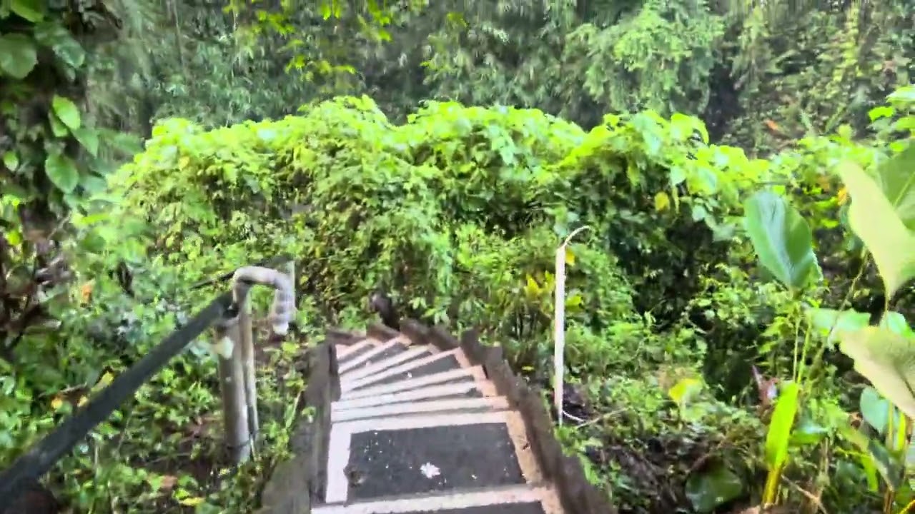 Morning Walk to Yoga Class at House of Om, Bali, Amertham