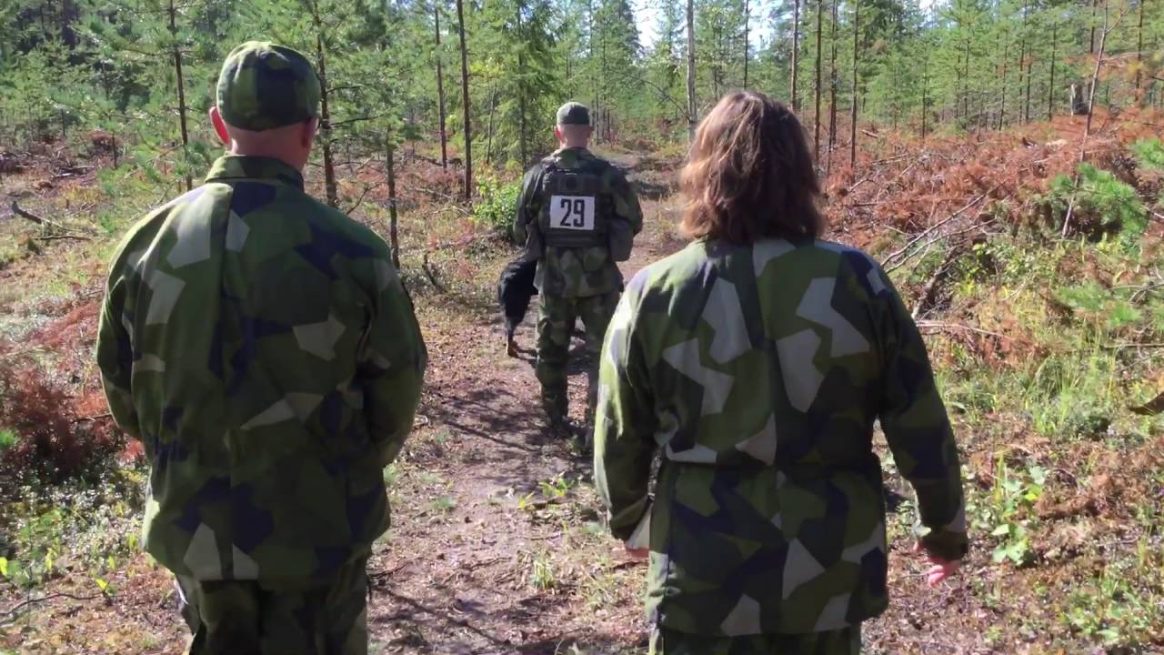 Försvarsmaktens Essie och Daniel Widmark patrullstig Patrullhundsmästerskapen 2016