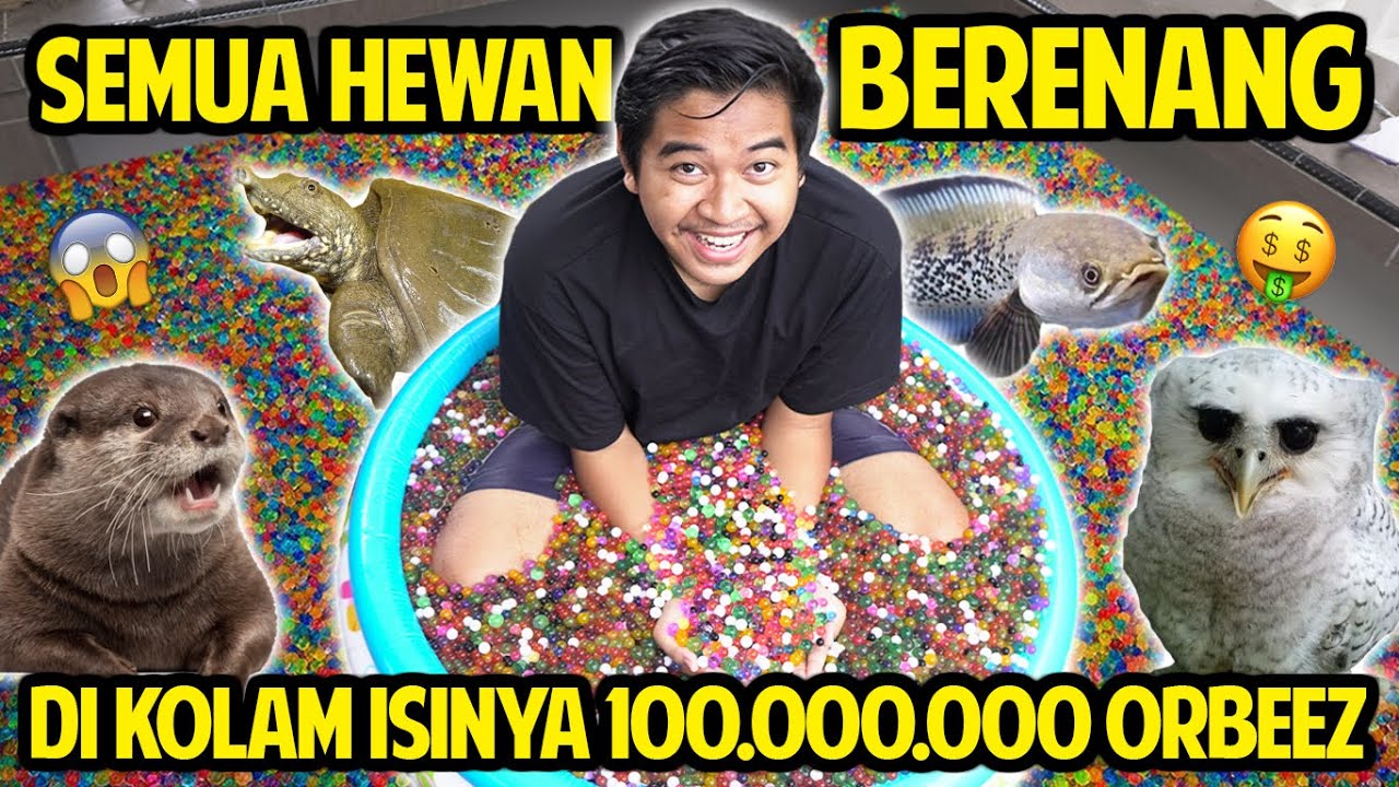 SEMUA HEWAN BERENANG DI KOLAM ISINYA 100.000.000 ORBEEZ! GAK NYANGKA SAMPE LUBER KELUAR KOLAM!