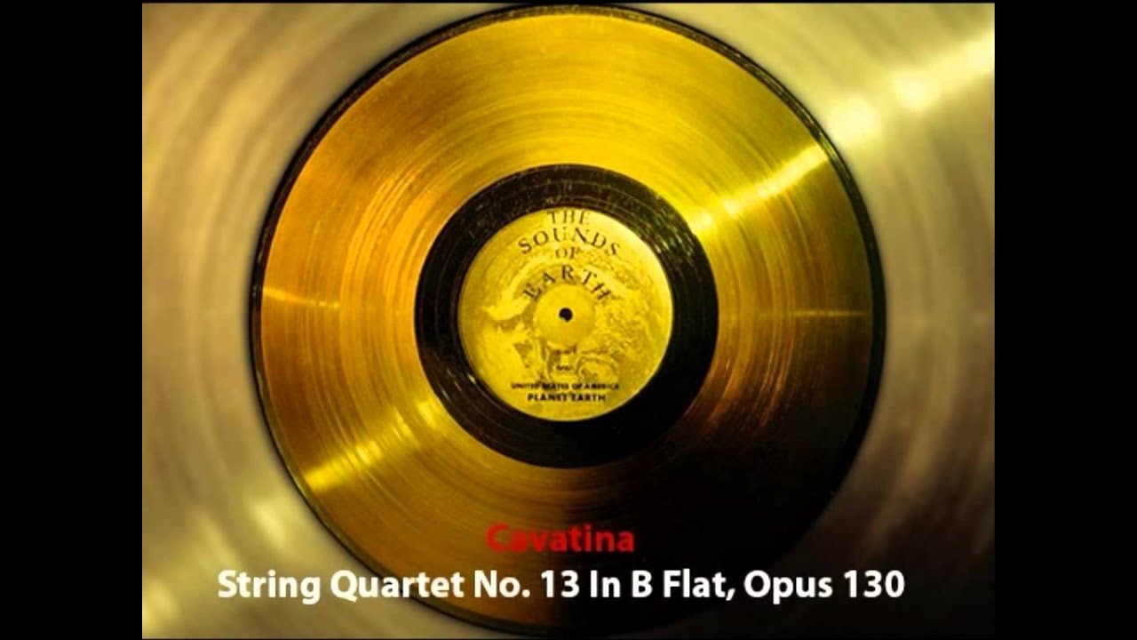 The Voyager Interstellar Record - 31/31 String Quartet No. 13 In B Flat, Opus 130, Cavatina
