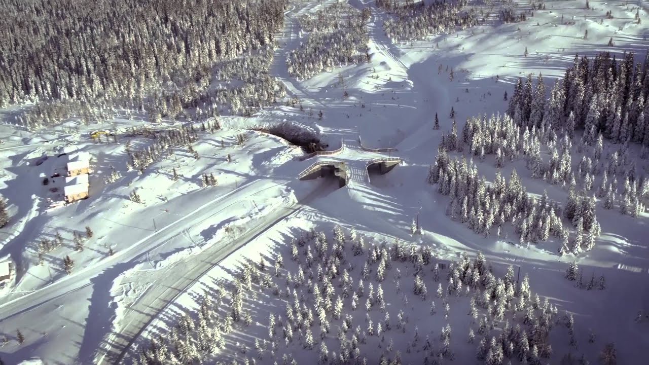 MOSETERTOPPEN LANGRENN