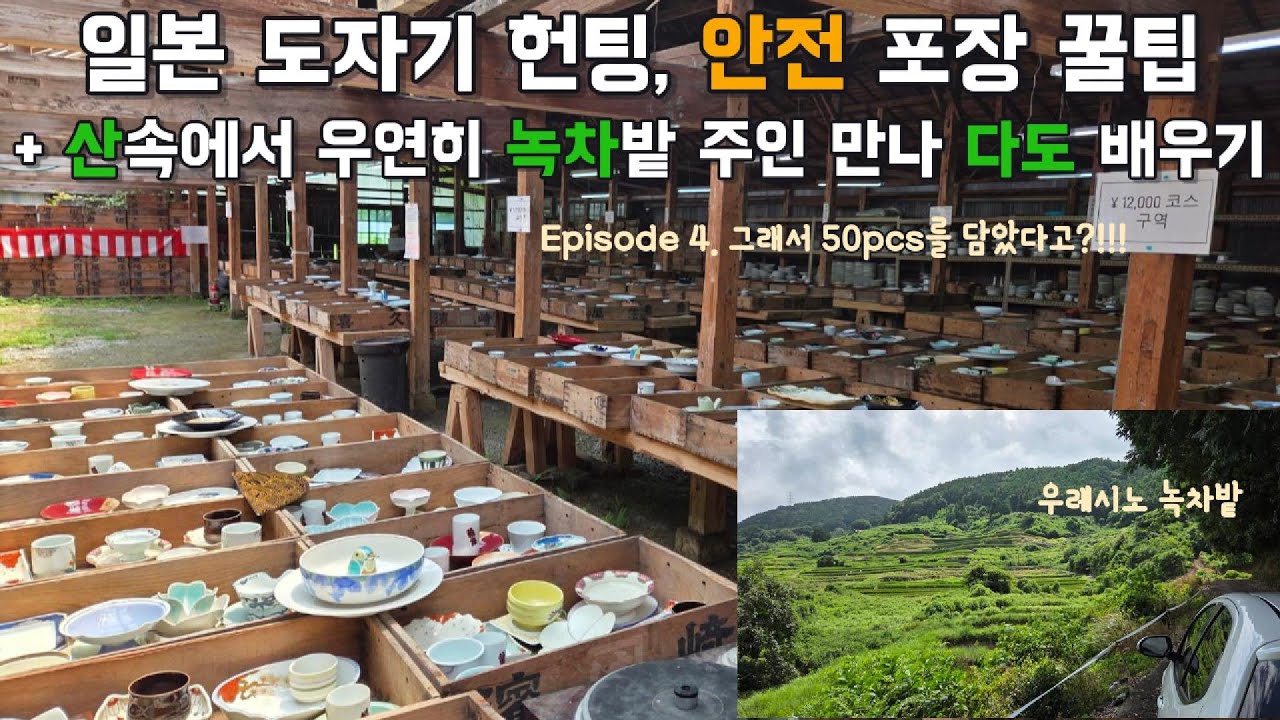 [나홀로 일본 여행] 4부 | 일본 도자기 헌팅으로 50pcs | 산 속에서 만난 일본 녹차밭 사장님께 다도를 배우다 | 일본 아리타 도자기의 뿌리는 조선?