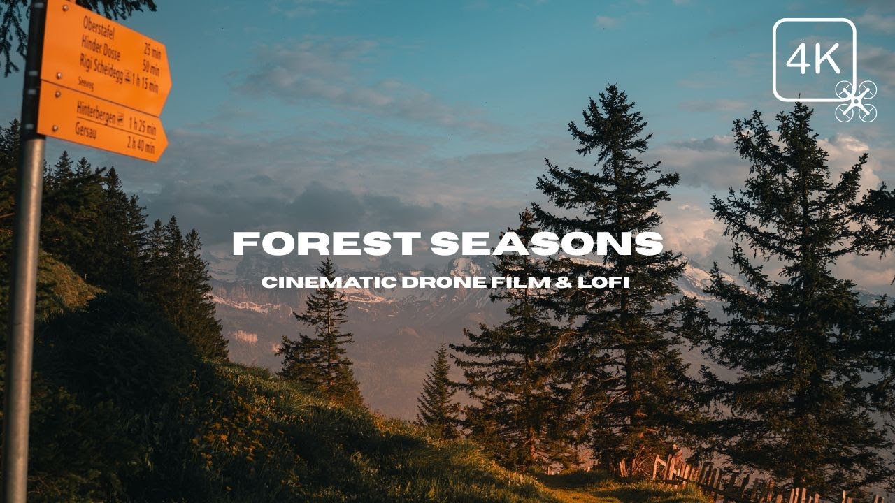 Forest Seasons from Above 4K- Relaxing Autumn & Winter Drone Footage with Lofi Music