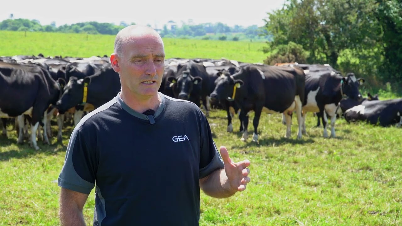 GEA Rapid Exit Parlour reduces milking hours for a Co. Waterford farmer
