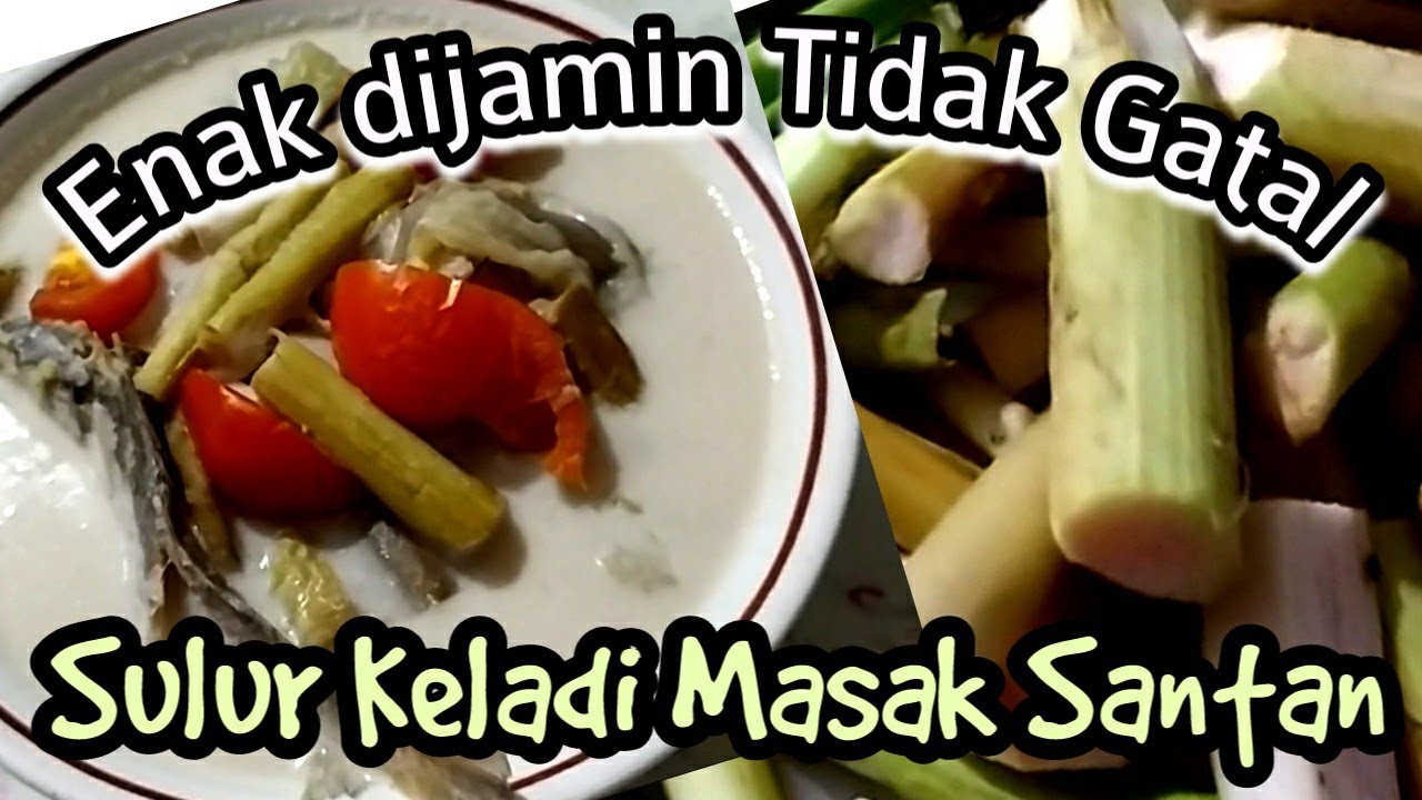Cara Masak Sulur Keladi enak dan tidak Gatal || Sulur Keladi Masak Santan || Masakan Kalimantan