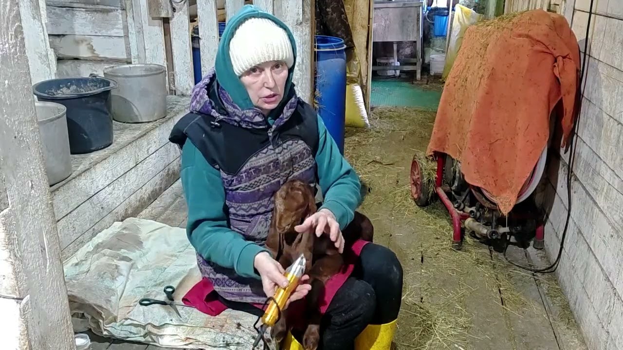 МОРОЗЫ У НАС КРЕЩЕНСКИЕ!