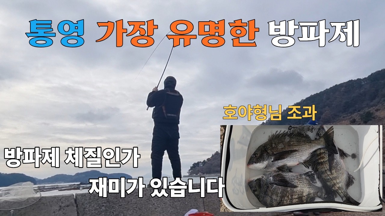 통영 작은 방파제 10년만에 출조, 방파제 체질인가 재미가 있습니다