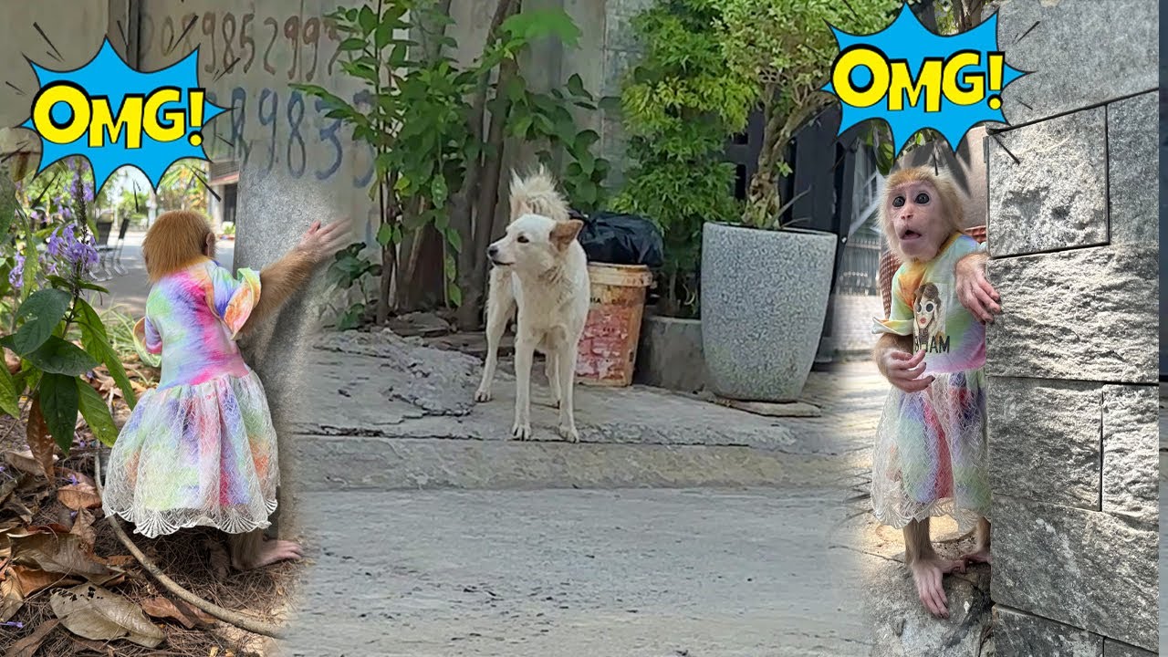 Лаки боялся идти домой по этой причине.