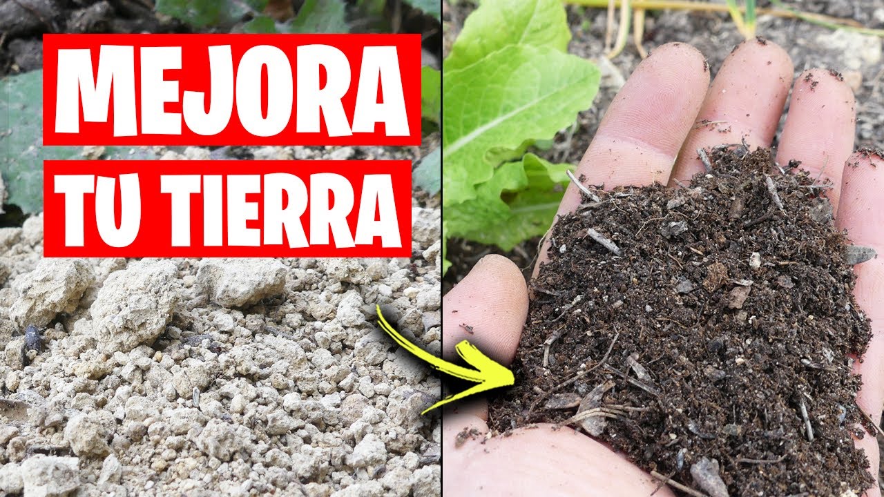 ¡Como MEJORAR cualquier TIERRA! Método para ABONAR el Huerto antes de CULTIVAR | La Huerta de Ivan