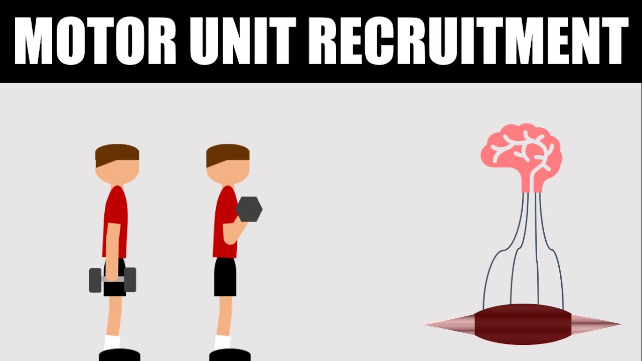 How Close to Failure Should You Train? | Motor Unit Recruitment for Hypertrophy Training