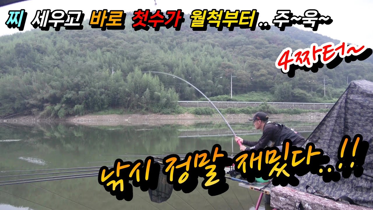 붕어낚시 . 또 터졌다. 물 맑고 공기 좋고 풍경까지 끝내주는 4짜터 오랜만에 찾았더니 망태기에  대물붕어가 가득 알게 모르게 쏟아지고 있다(Korean big fishing)