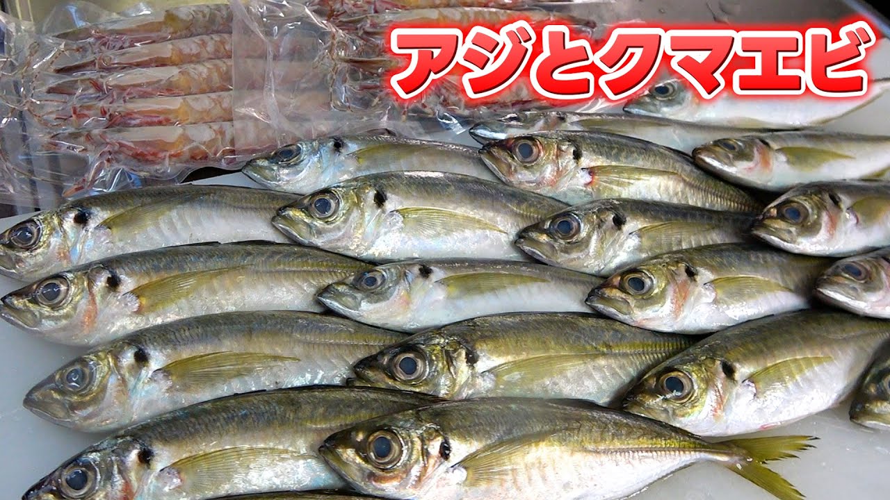 【爺ちゃんの晩御飯】大量のアジとクマエビでフライ定食を作ったよ！