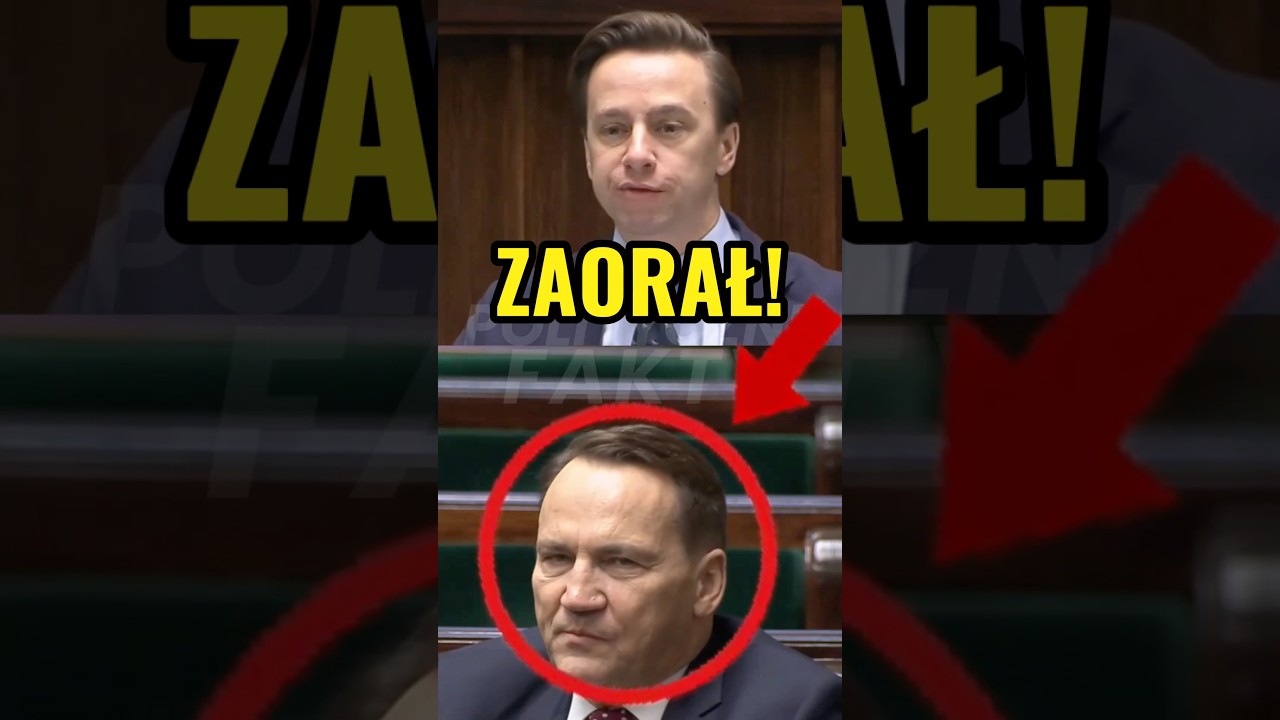 BOSAK ZAORAŁ SIKORSKIEGO! TA REAKCJA OBIEGA INTERNET! #polityka #konfederacja #polskapolityka