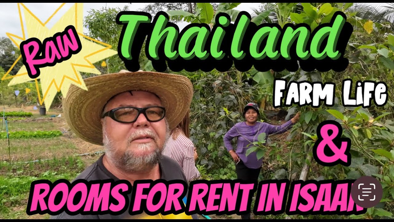 Raw Thailand Farm Life And Rooms For Rent In Isaan