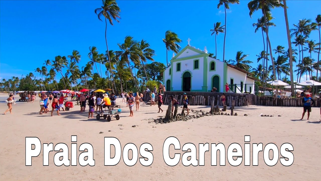 Praia Dos Carneiros Tamandaré Pernambuco Na Maré Baixa