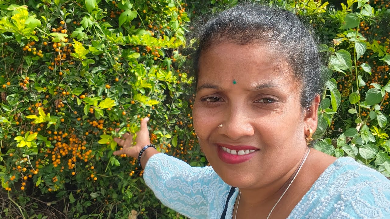 या लाईव्हवर स्मिताने घरात काय केले ते पहा 😱 तुम्ही सांगा काय चुकीचं केलं