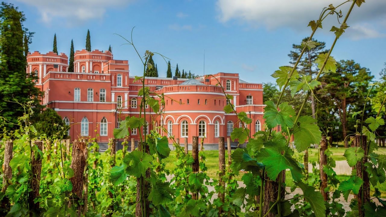 The Greatest Wedding Among the Vineyards / Beautiful and Style Ai Music Wedding Film