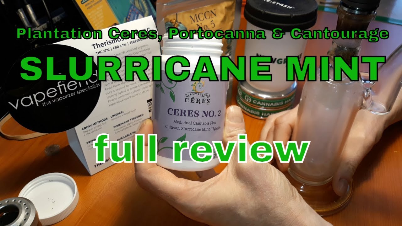 SLURRICANE MINT | Plantation Ceres, Portocanna & Cantourage | &pound;8/g | FULL REVIEW