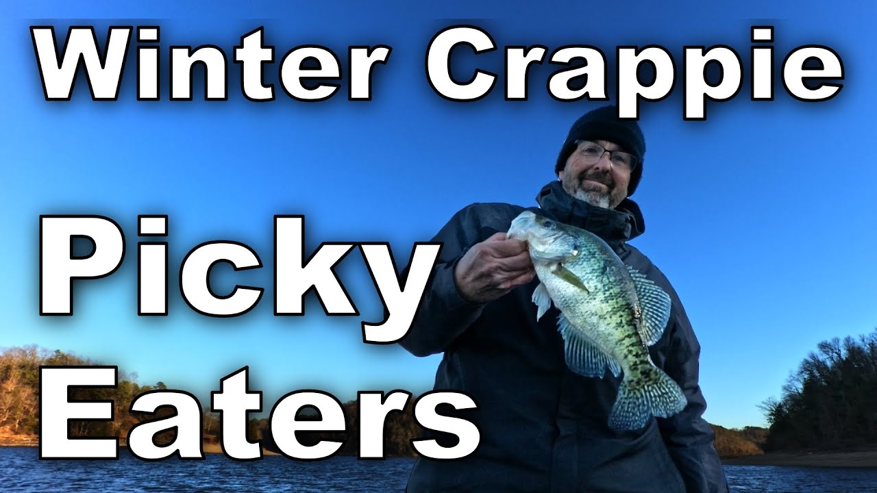 Best Winter Crappie Bait Not What I Expected Post Cold Front