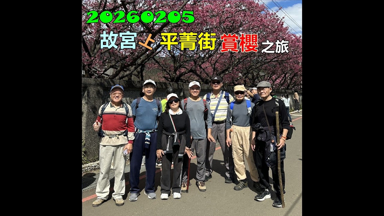 20260205 故宮上平菁街賞櫻之旅