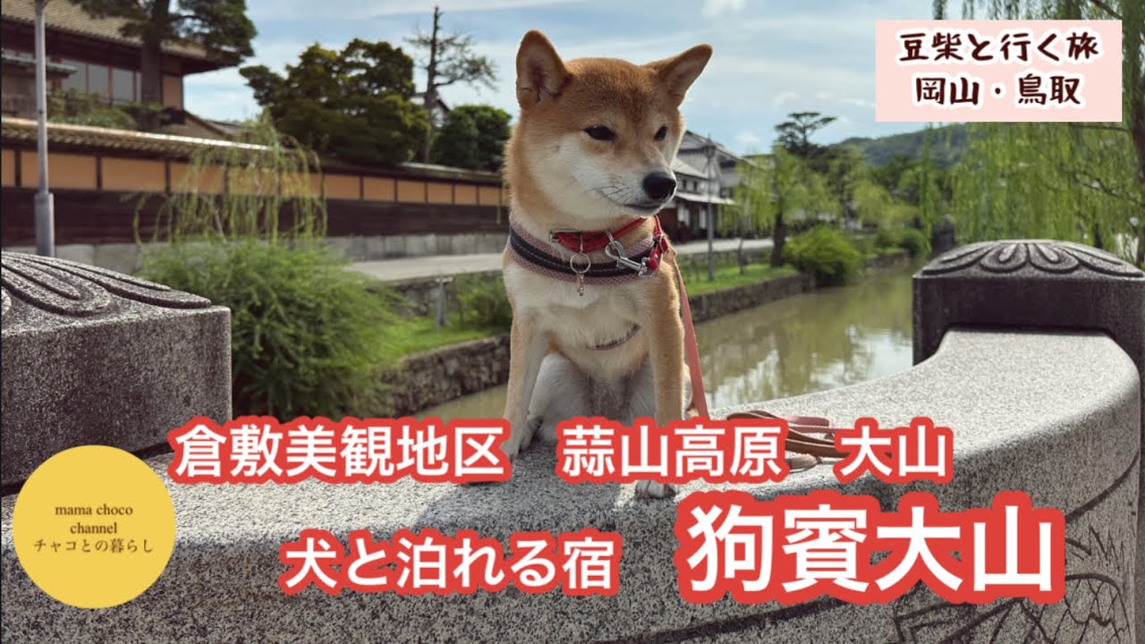 【豆柴と岡山鳥取旅】狗賓大山