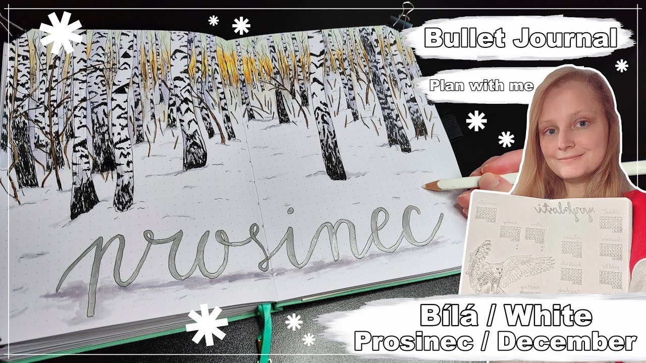 Bullet Journal - Prosinec | December | 2023 | Bílá | White | Plan with me | CZ