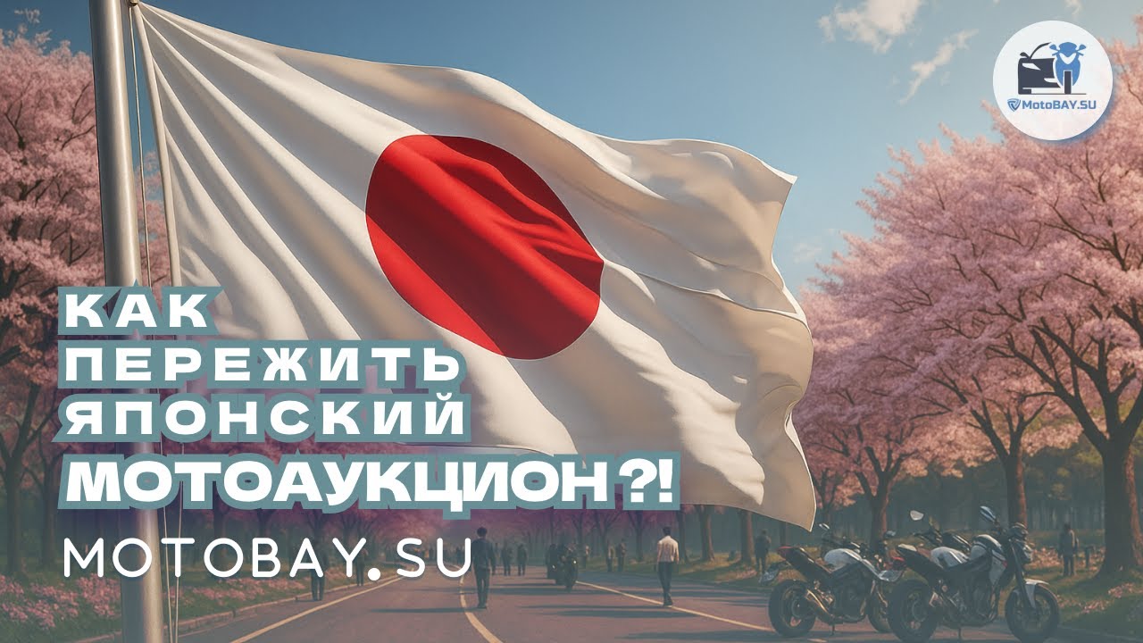 Вся правда про аукционы мотоциклов в Японии: как на нем выжить и как это работает?