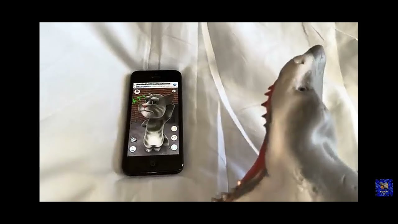 Sharkey Boi Snoring Compilation